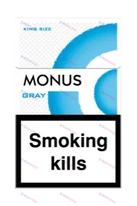 MONUS GRAY King size